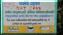 Bat Cave in Pokhara